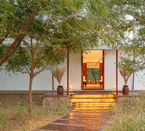 Lit pavilion and steps under trees at Dhun in the evening