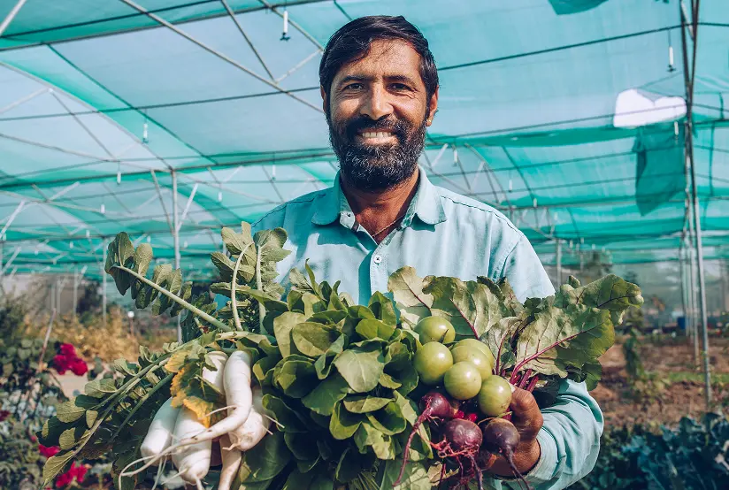 A grower at Dhun holding a harvest of leafy greens and radishes