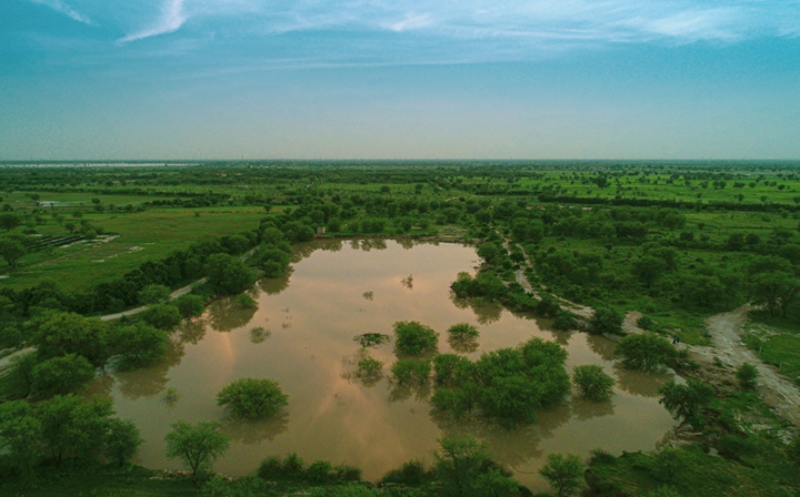Aerial view of the restored water body at Dhun in the green season